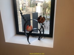 Exposición de Flyppy 2023